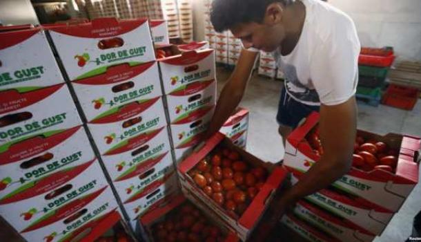Россияне теперь предпочитают отечественную продукцию