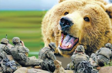 без лишнего шума США стягивают элитные подразделения к границе с Россией (Nation)