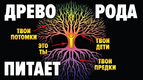 Невидимые нити судьбы: как далекие предки формируют нашу жизнь